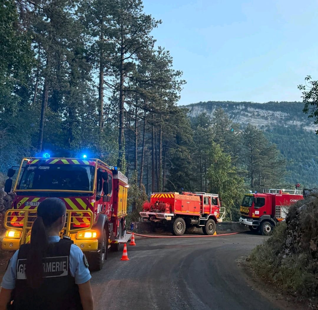FR-Alert et sac d'urgence : pour réagir face à un feu de forêt | Ma ...
