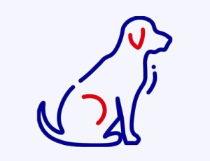 Maltraitance animale