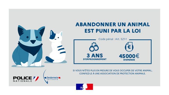 Abandon animal